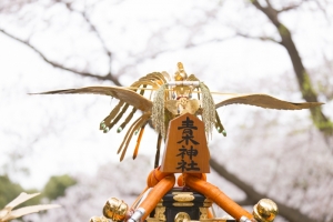 青木神社の桜と宮神輿