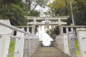 青木神社の階段