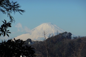 青木神社境内から望む雪の富士山