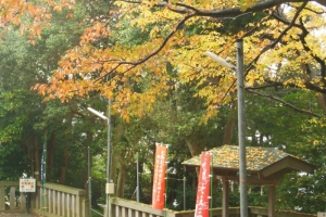 青木神社の秋