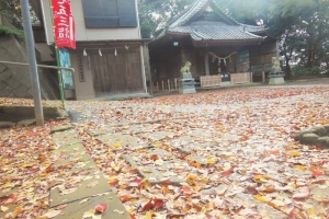 青木神社の秋2
