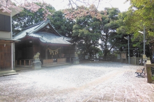 青木神社の春3
