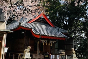 青木神社の春